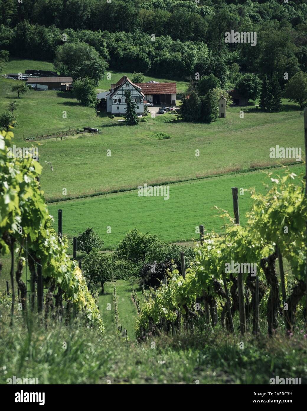 Gemütlicher Ausblick vom Derdinger Horn über Weinberge Stock Photo