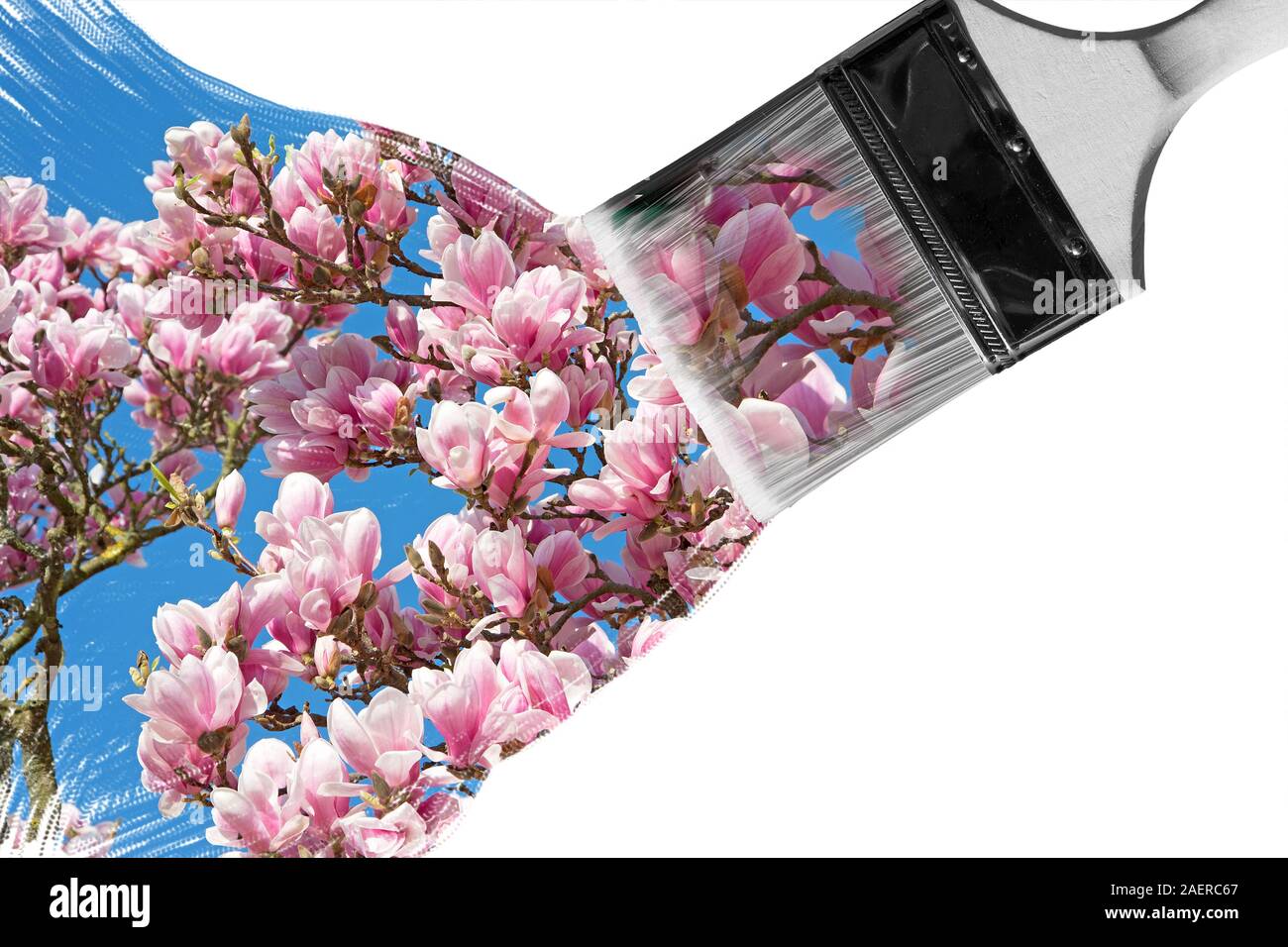 Spring flowers in collage hi-res stock photography and images - Alamy