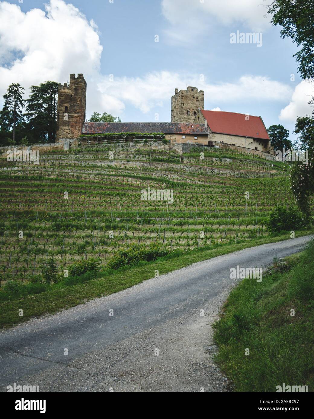 Burg Neipperg in the beautiful national park Stromberg-Heuchelberg Stock Photo