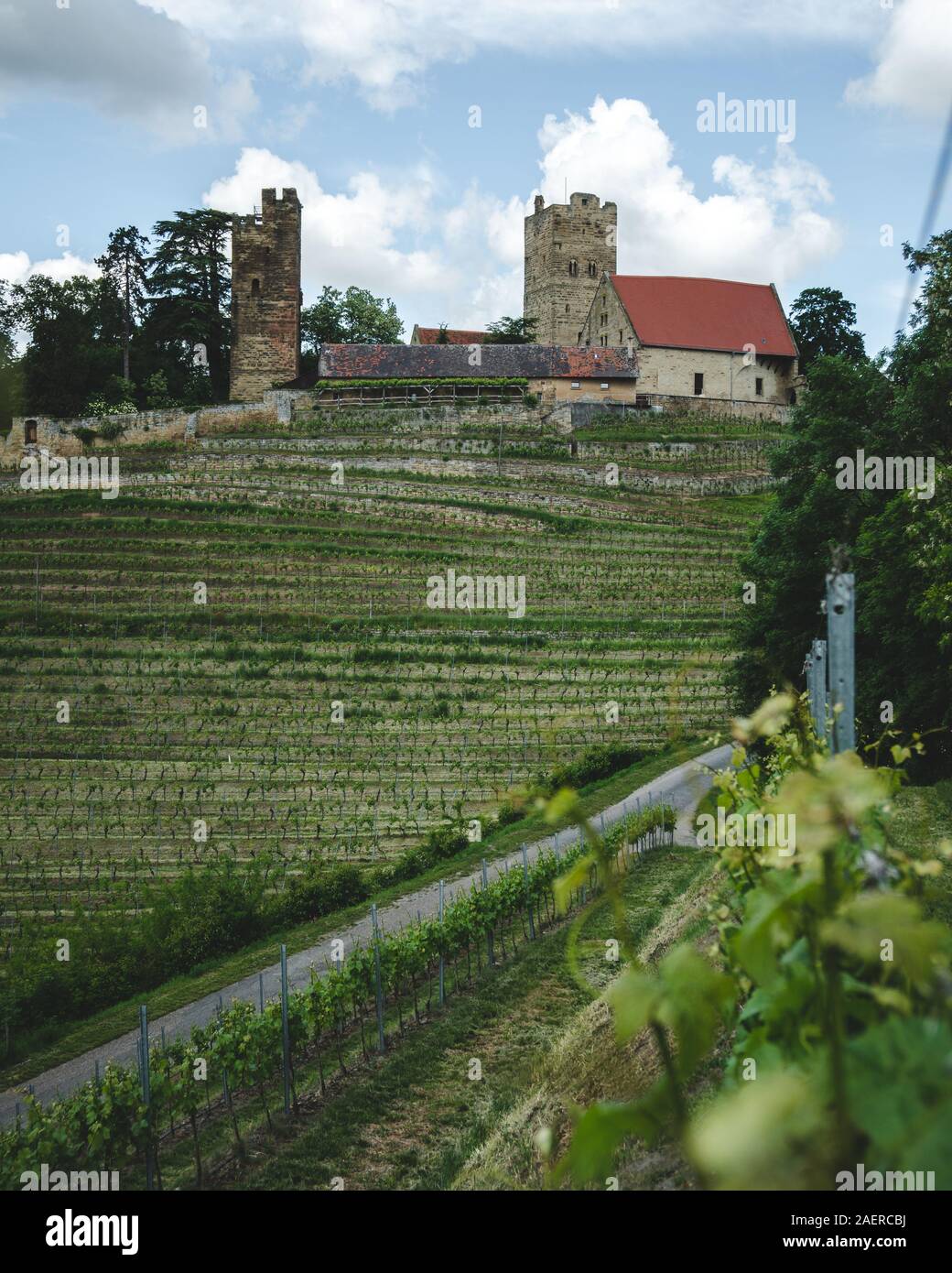 Burg Neipperg in the beautiful national park Stromberg-Heuchelberg Stock Photo