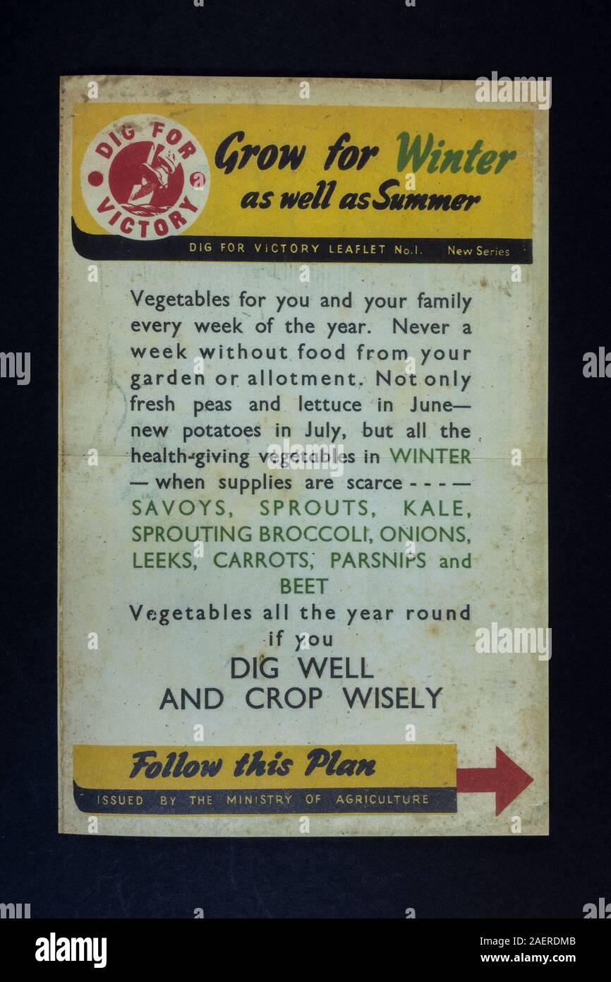 'Grow For Winter' Dig For Victory leaflet No 1, Ministry of Agriculture, a piece of World War II related replica memorabilia from Britain in the 1940s Stock Photo