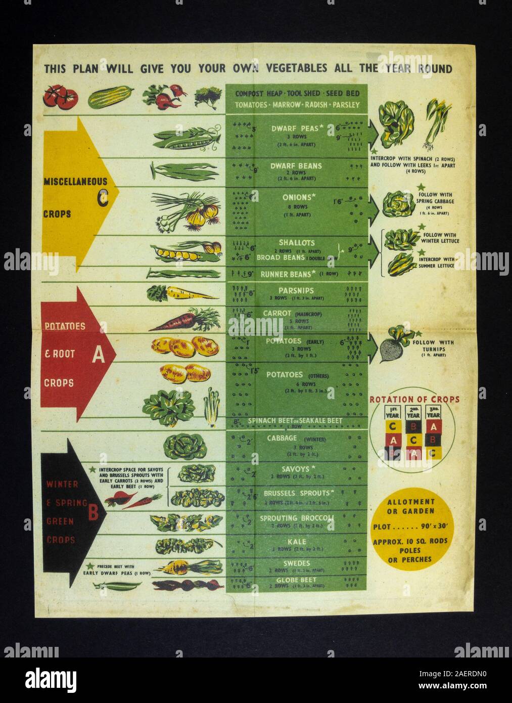 Dig For Victory leaflet with a table of suggested year round crop planting, a piece of WWII related replica memorabilia from Britain in the 1940s Stock Photo