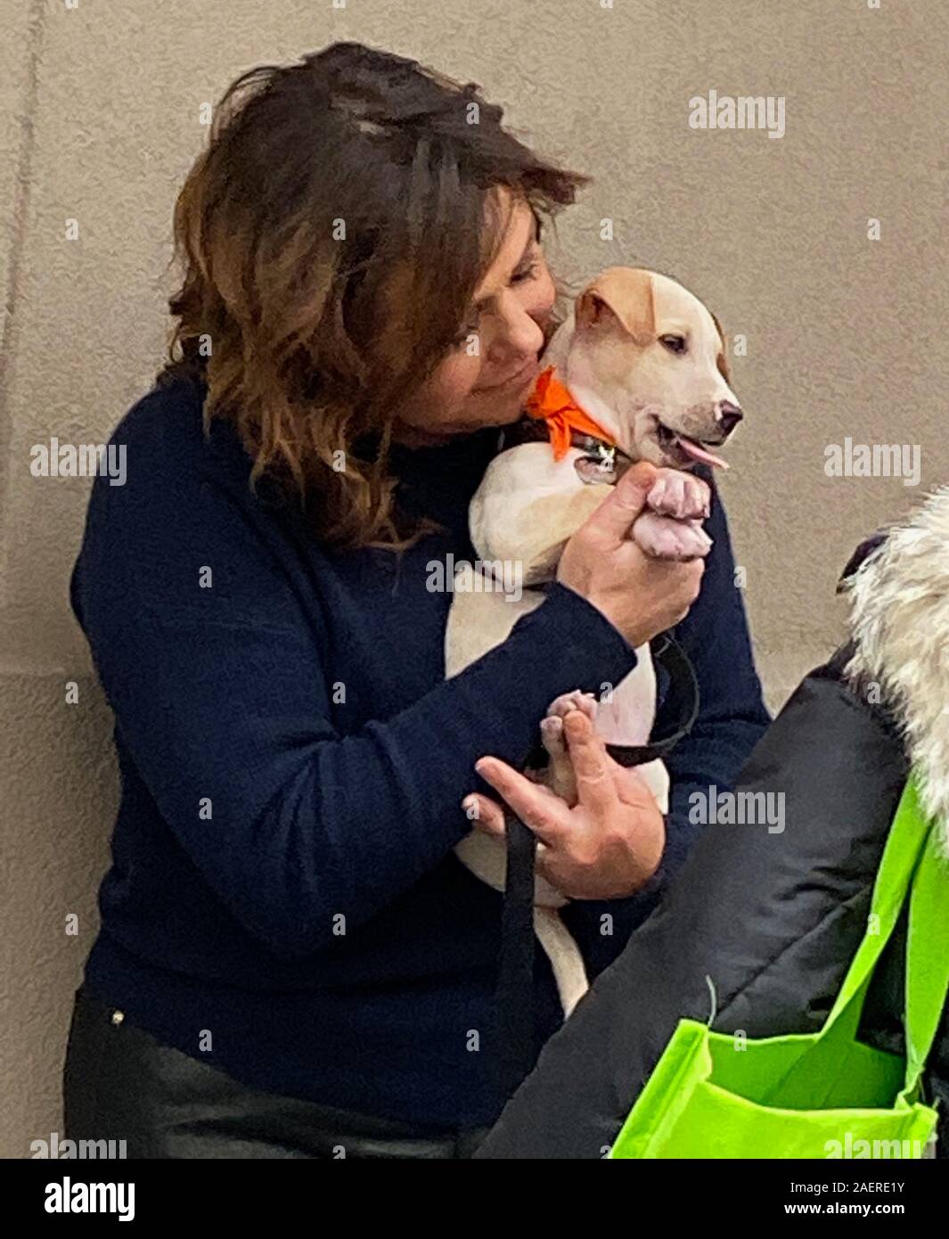 New York, NY, USA. 10th Dec, 2019. Rachael Ray cuddles with a puppy from the ASPCA while taping a segment for The Rachael Ray Show in New York, New York on December 2019. Credit: Rainmaker Photo/Media Punch/Alamy Live News Stock Photo