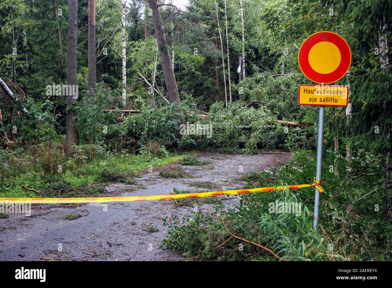 Fallen trees and broken brancehs blocking road after August storm in Järvenpää, Finland Stock Photo