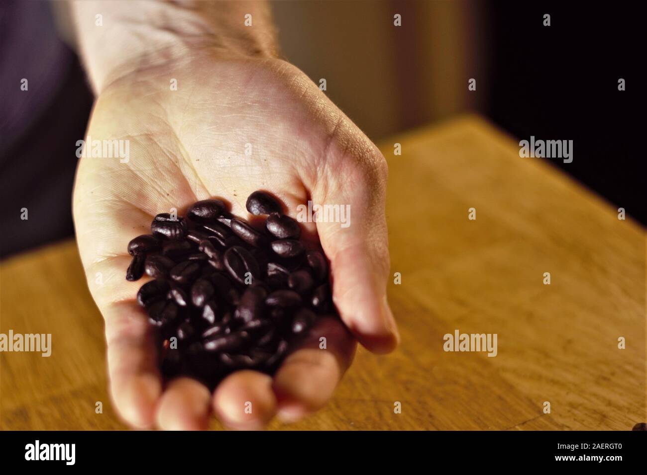 White hand holding coffee beans off-centered Stock Photo