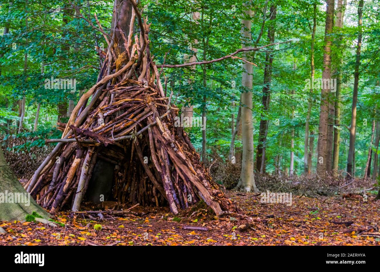 Tree hut made out of branches in the liesbos forest of breda, The netherlands Stock Photo