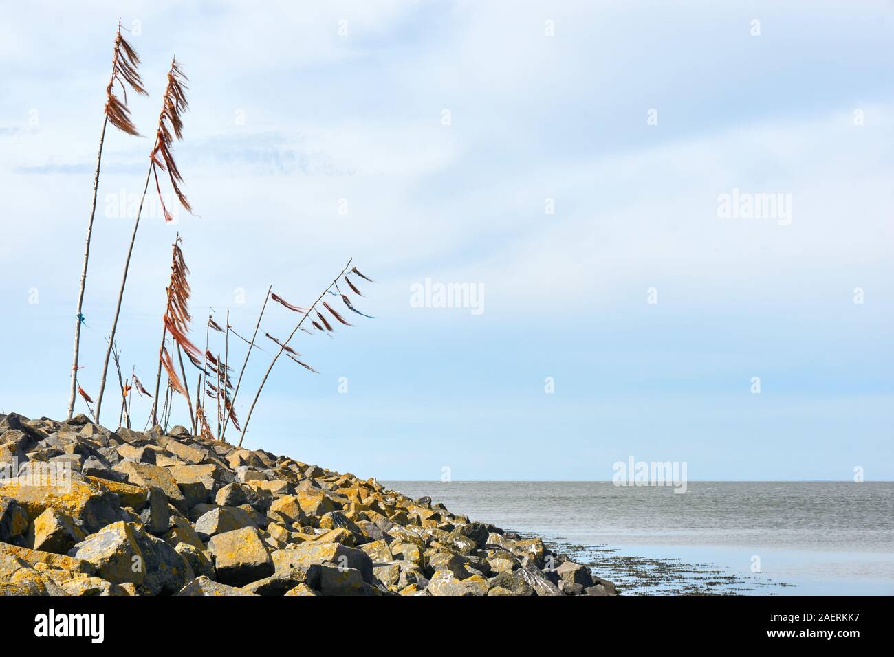 Poles with colored rope and plastic waving in the wind on breakwater or pier in the Wadden Sea near the entrance to the port of Harlingen. Stock Photo