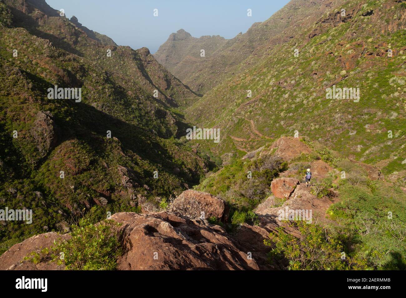 The Valley back from Los Batanes to Punta del Hidalgo, Tenerife. Stock Photo