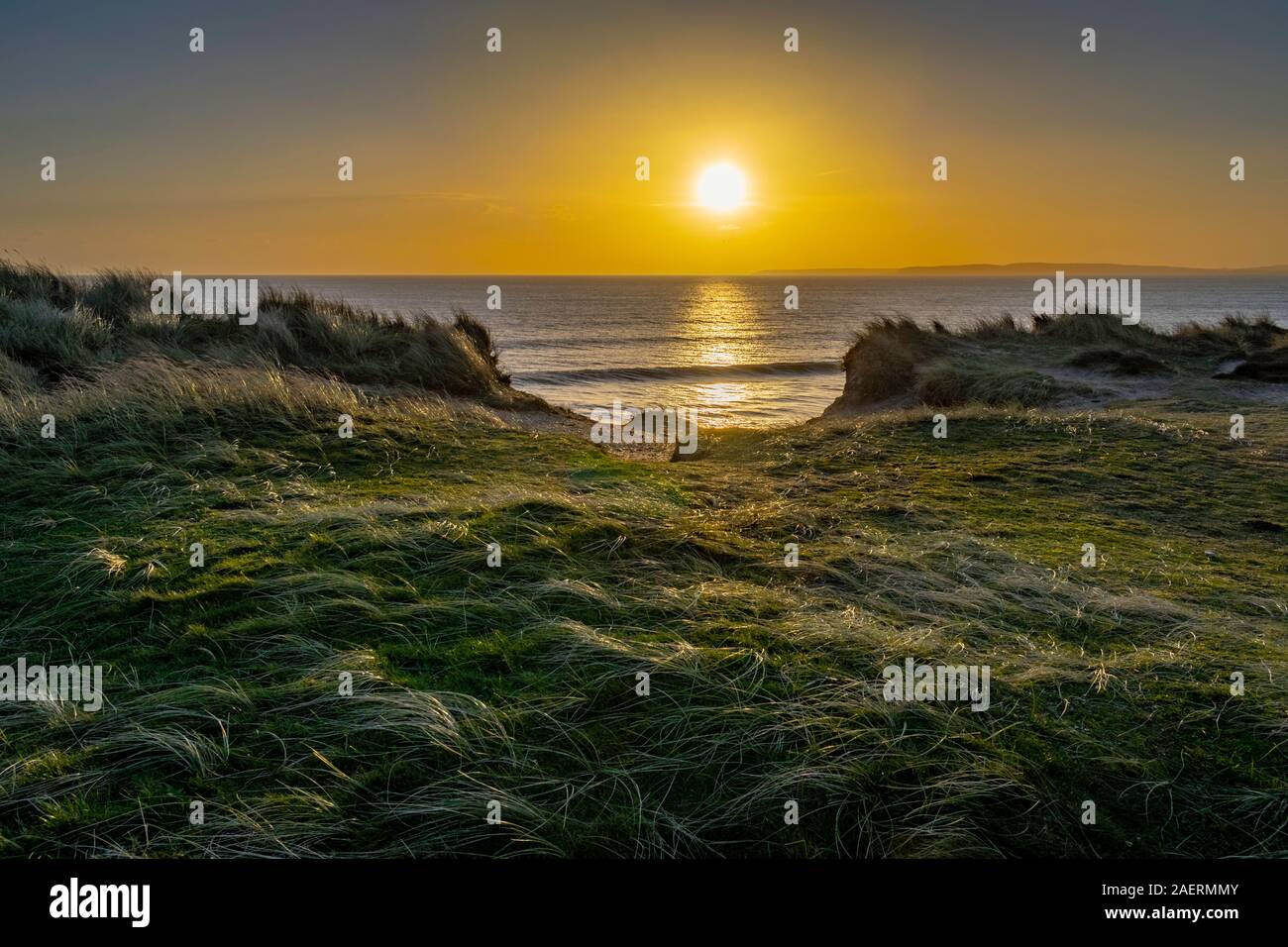 Sunset over the cliff tops of Hengistbury Head, Bournemouth with the tall coastal grasses being illuminated and reflection of the sun across the sea. Stock Photo