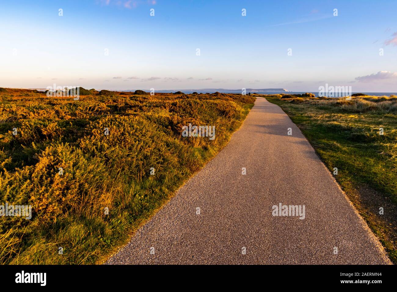 Hengistbury Head coastal path with heather and grasses illuminated as the is about to set with blue sky Stock Photo