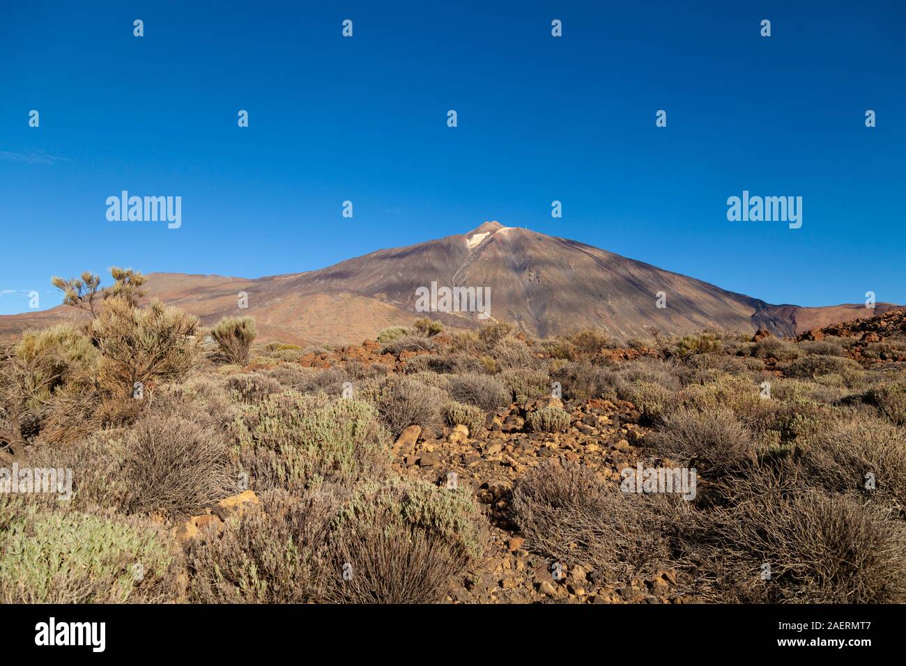 looking North towards Mount Teide from the lower slopes of  Mount Guajara, Teide National Park, Tenerife Island, Spain. Stock Photo