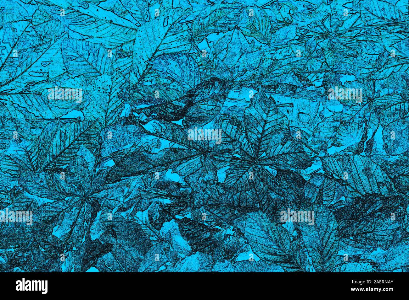 Aquamarine colored background with natural plant textures of different shades of aquamarine Stock Photo