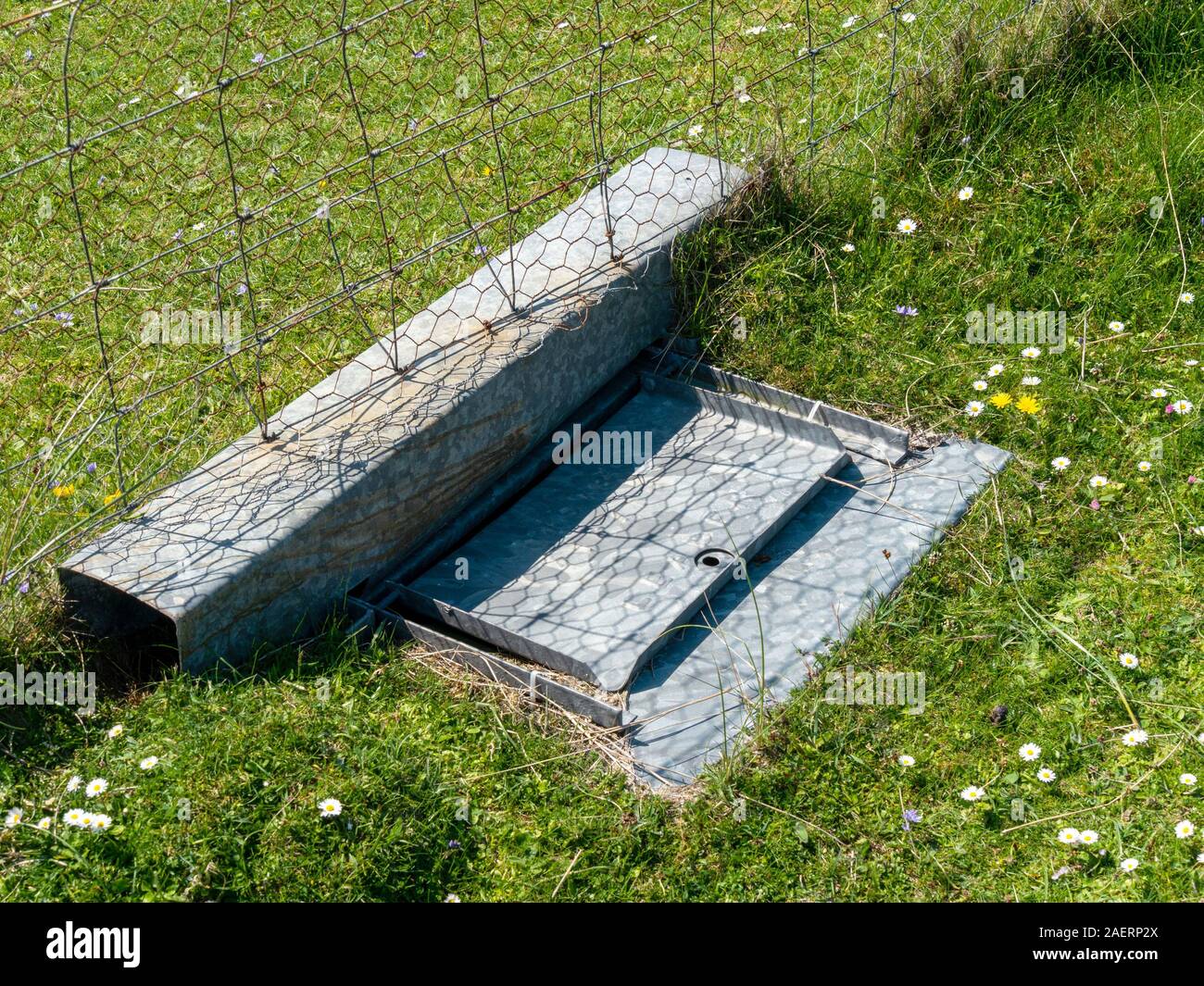 Small mammal / animal tunnel trap made by Leader in galvanised steel and set into fence for wildlife control or survey, Isle of Colonsay, Scotland, UK Stock Photo