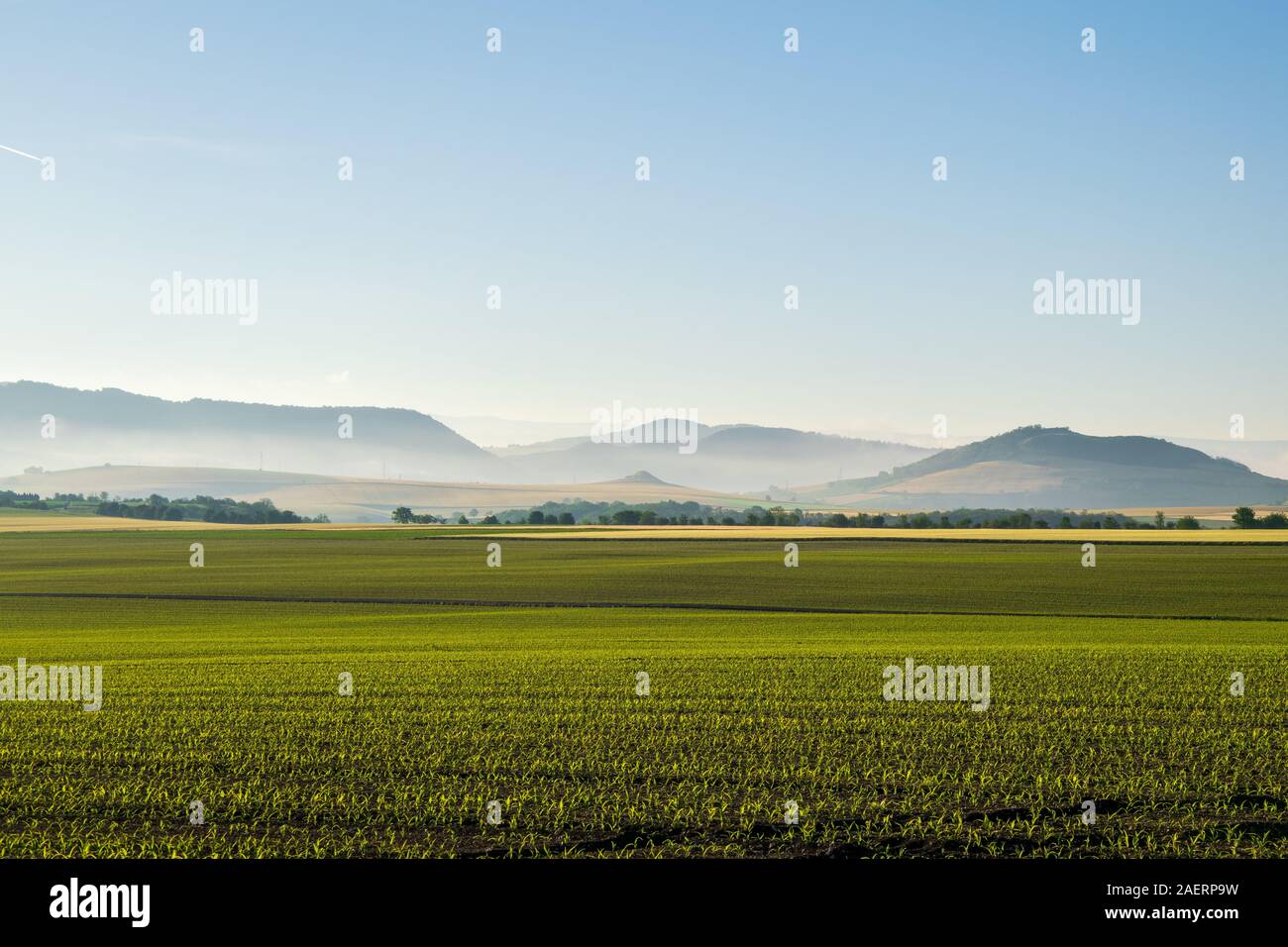 Lever du jour sur un champ de blé avec la brume qui commence a se lever en arrière plan, sur la commune d'Authezat en Auvergne , France . Stock Photo