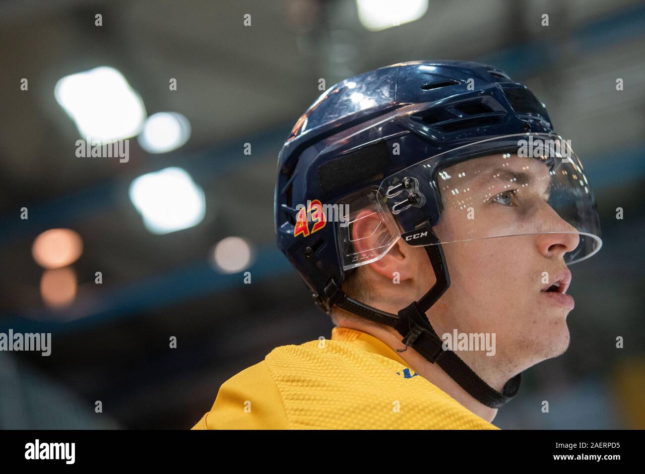 Ice hockey champions hi-res stock photography and images - Alamy