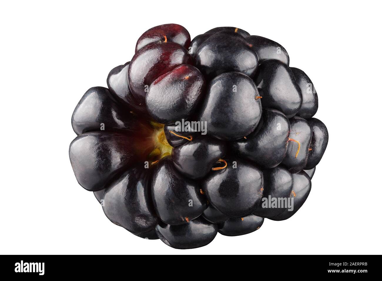 blackberry isolated on the white background . Stock Photo