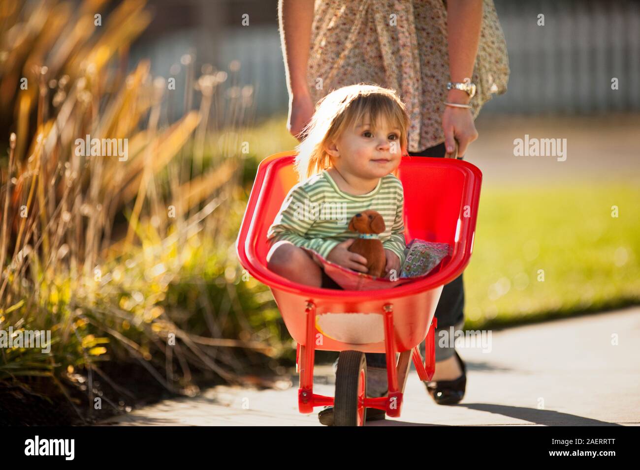Woman pushing a wheelbarrow with her young daughter inside Stock Photo ...