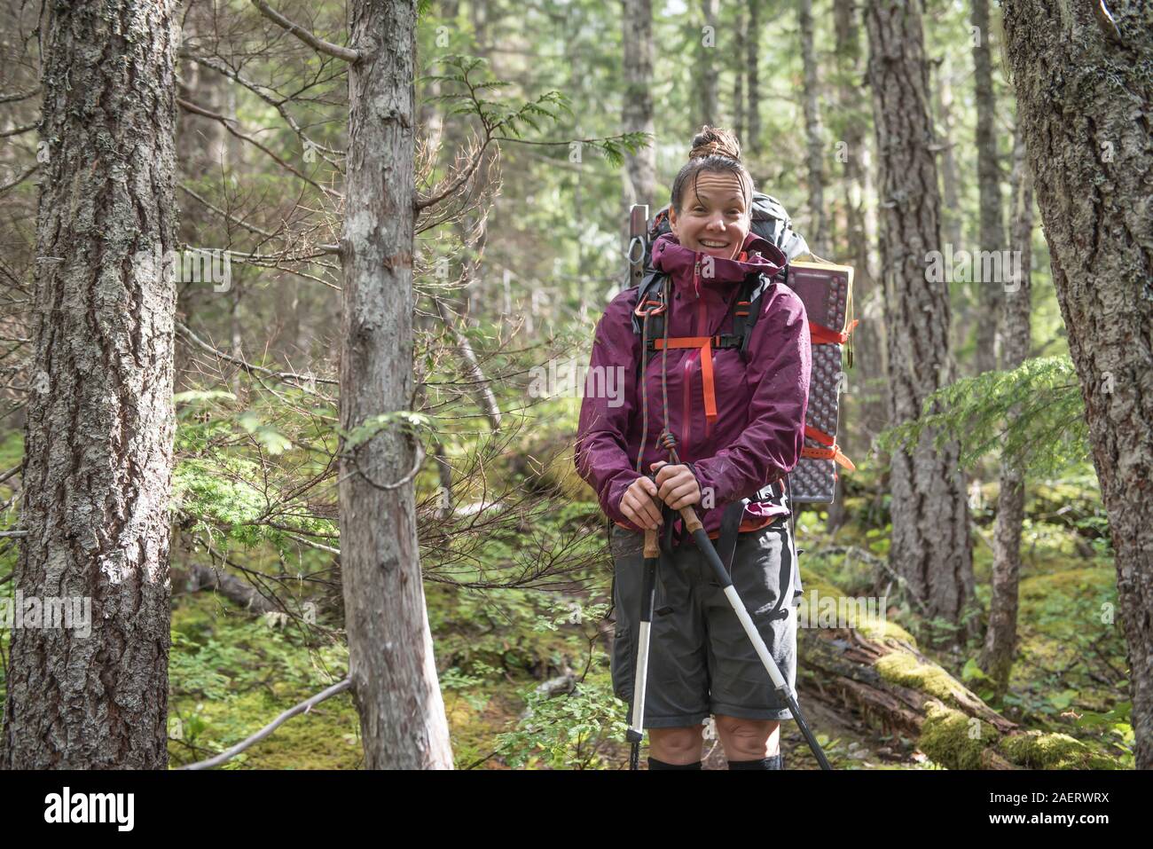 A woman in the forests of North Cascades National Park Stock Photo