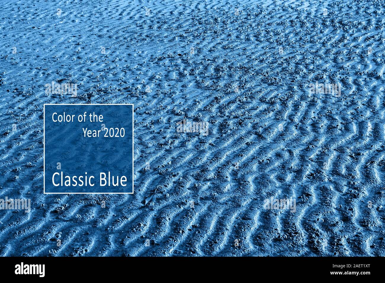 Natural texture Color of the Year 2020 Classic Blue Pantone. Many small crabs on the sand of the sea shore. Sand rippled like dunes. Stock Photo