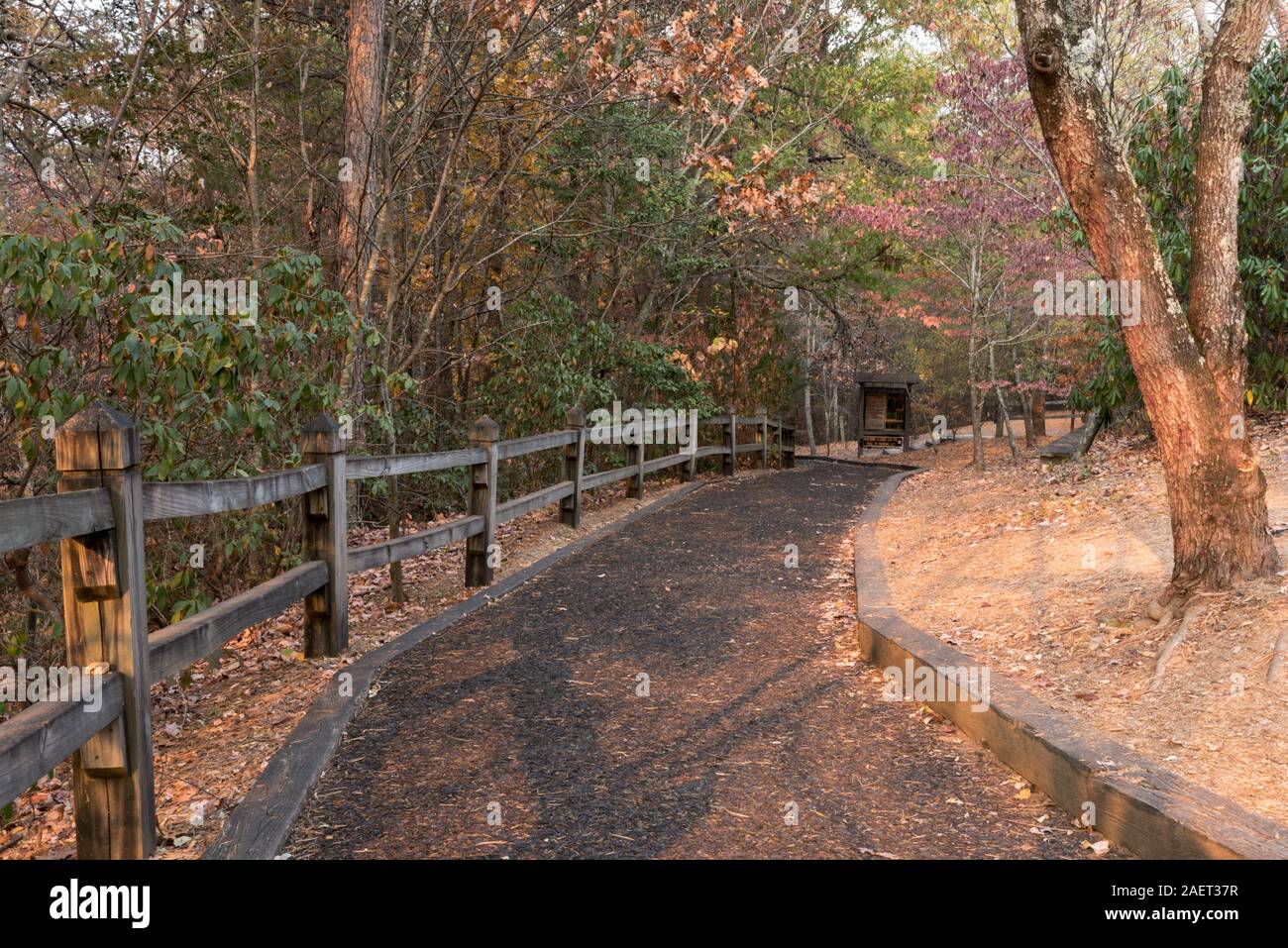 Pedestrian trail made of recycled tires shot at Tallulah Gorge State Park in the North Georgia USA Appalachian Mountain range. Stock Photo