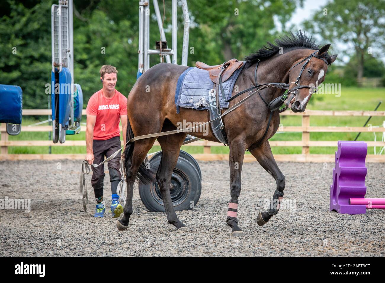 Middleham, England A trainer guides a horse learning about racing