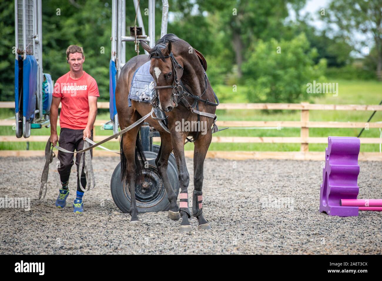 Middleham, England A trainer guides a horse learning about racing