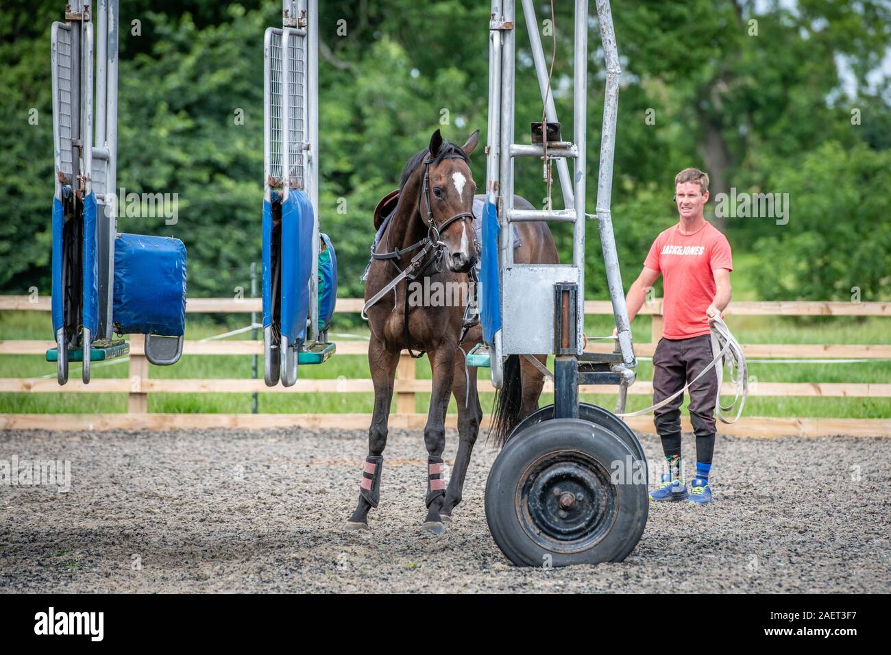 Middleham, England A trainer guides a horse learning about racing