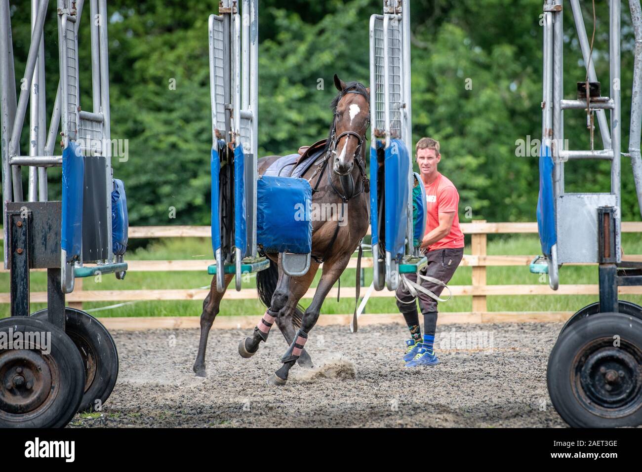 Middleham, England - A trainer guides a horse learning about racing ...