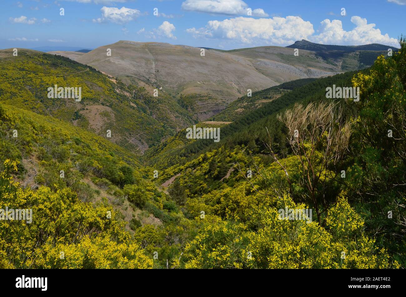 Glacial reliefs and karst landforms at the Urbion mountains in the border between La Rioja and Castile-Leon, Northern Spain Stock Photo