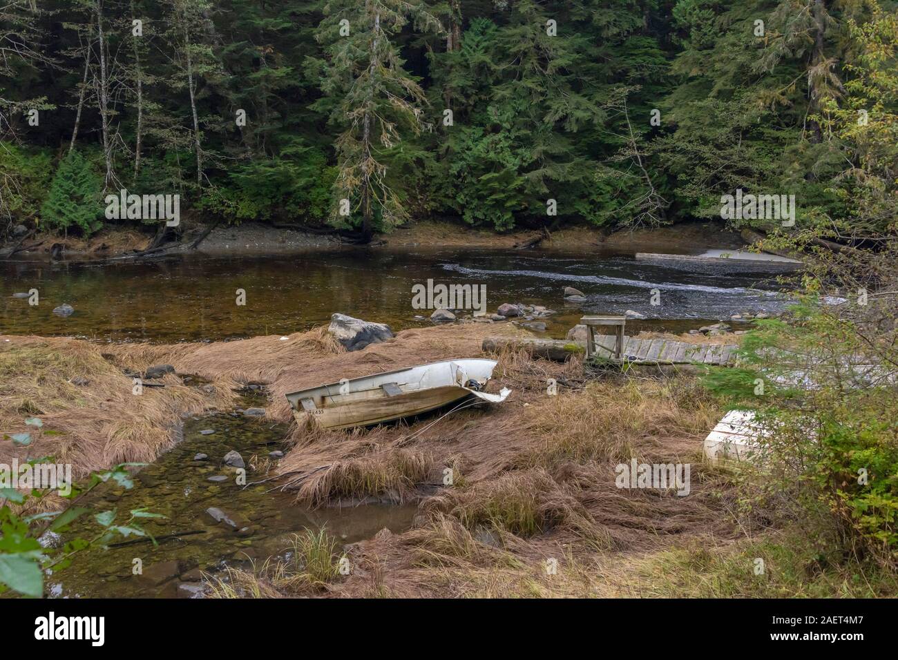 Fish Cutting Station High Resolution Stock Photography and Images Alamy