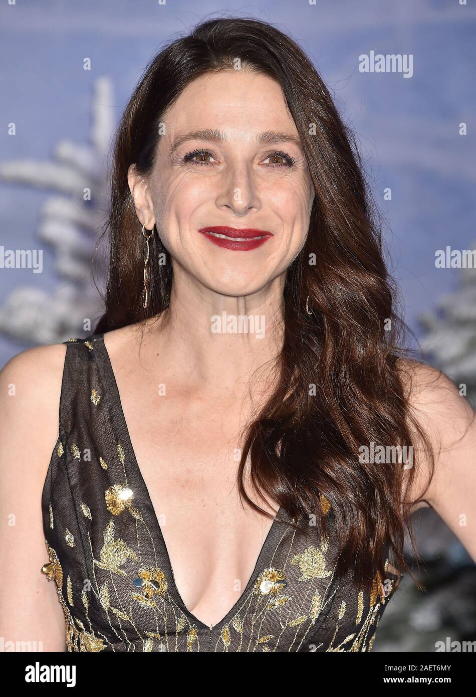 HOLLYWOOD, CA - DECEMBER 09: Marin Hinkle attends the premiere of Sony