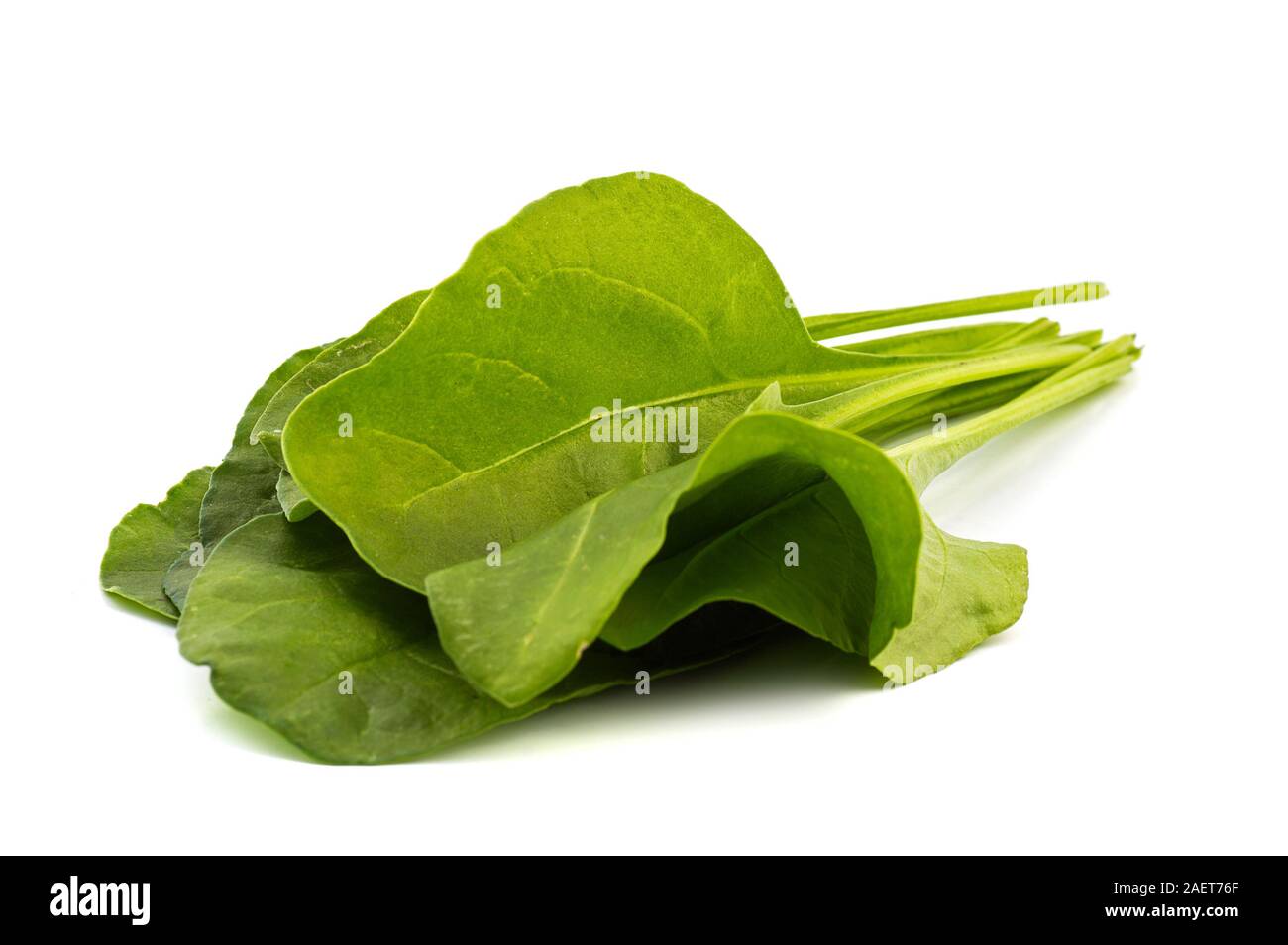 Close up of fresh green spinach isolated on white background Stock ...