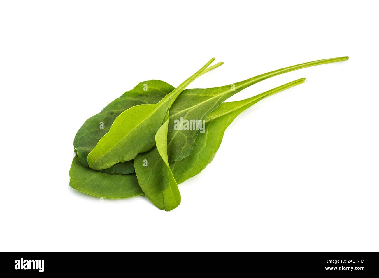 Close up of fresh green spinach isolated on white background Stock ...