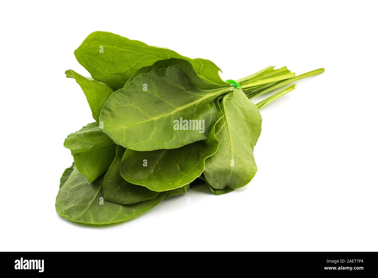 Close up of fresh green spinach isolated on white background Stock ...