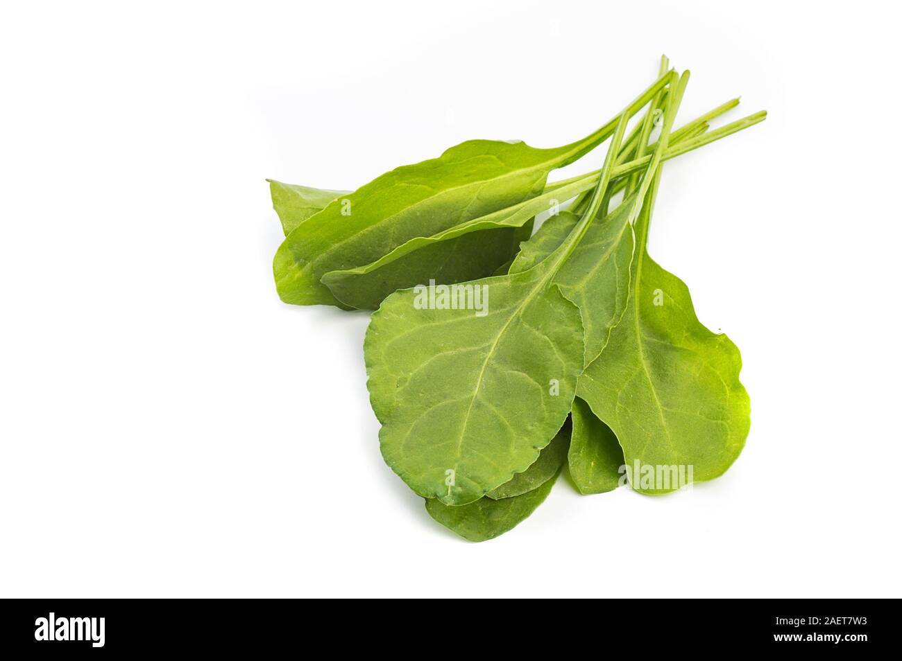Close up of fresh green spinach isolated on white background Stock ...