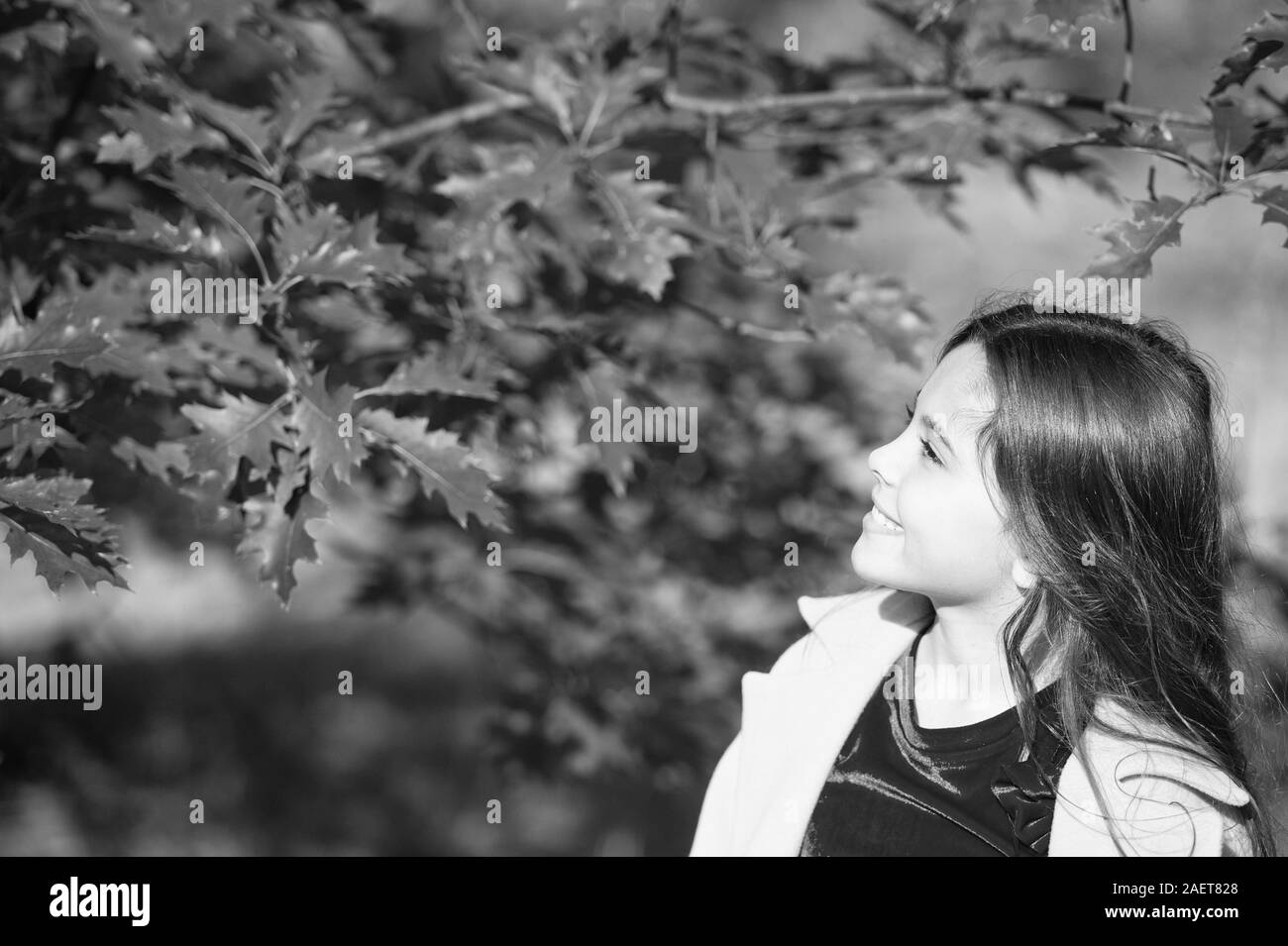 Fall colors. Little child walk in autumn forest. Small girl play on