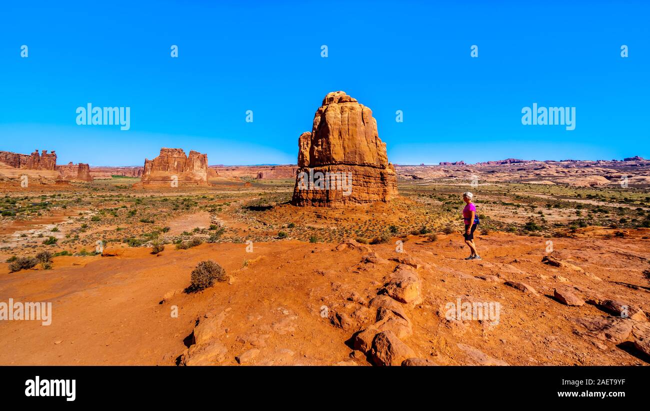 The tall and fragile sandstone Rock Pinnacles in the desert landscape of Arches National Park near Moab in Utah, United States Stock Photo