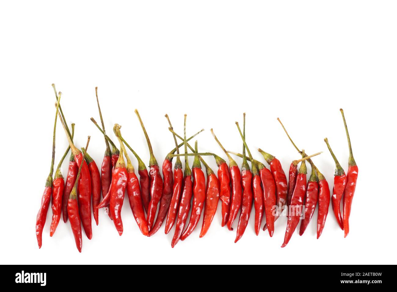 A lineup of bright red Thai bird chiles on an isolated white background with copy space; food preparation Stock Photo