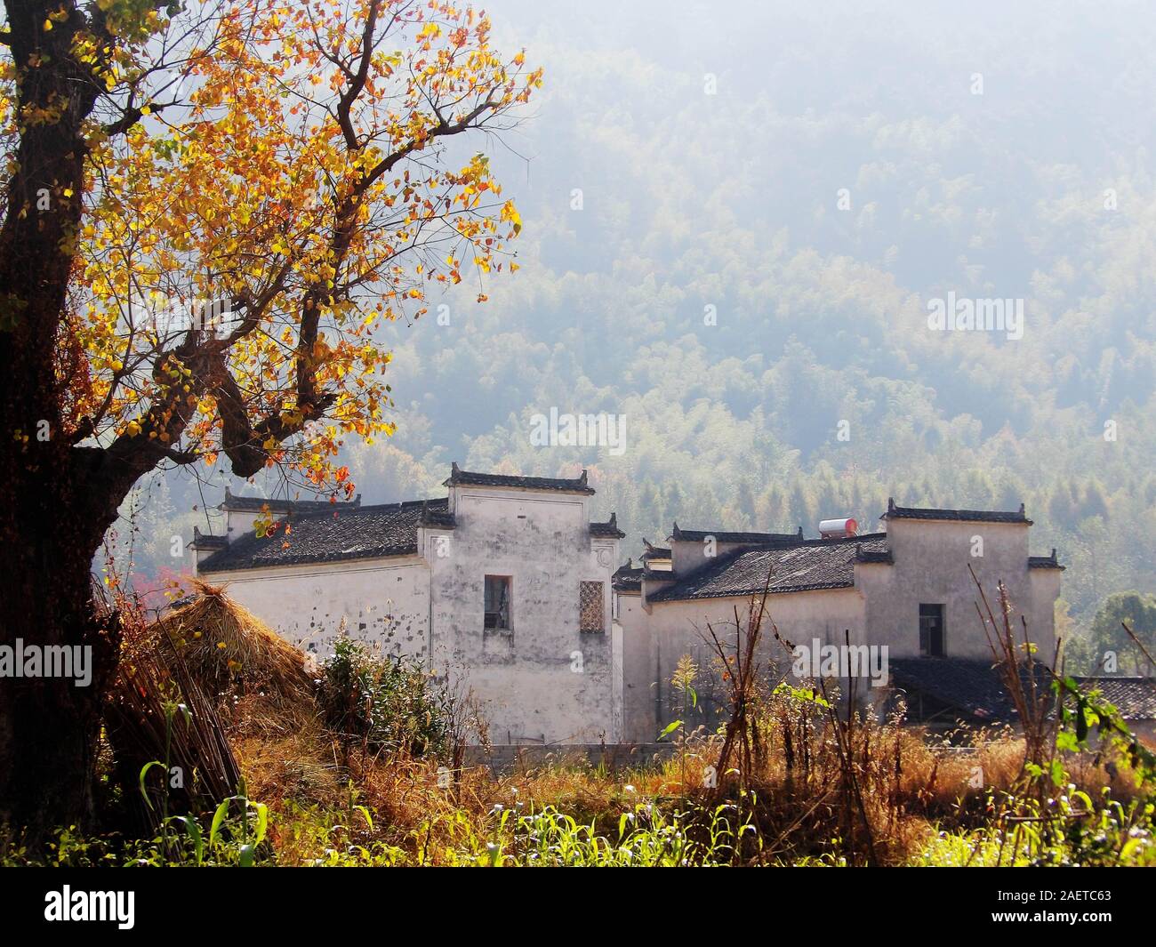 A view of traditional village with red leaves and Hui-style buildings in Tachuan village, Yi county, Huangshan city, east China's Anhui province, 10 N Stock Photo