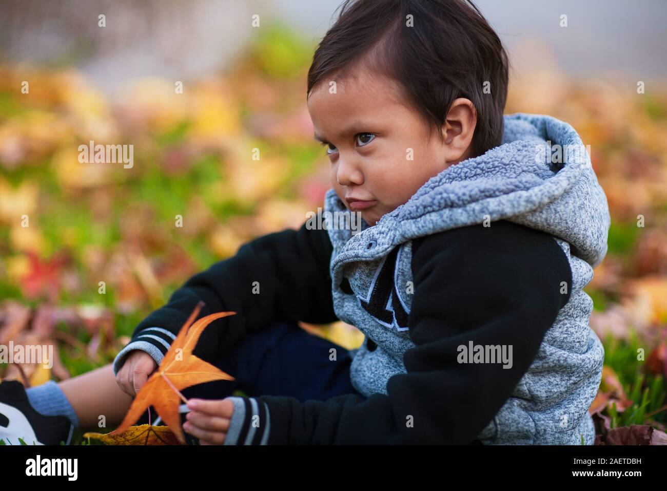 A toddler boy wearing a jacket during the fall season with an upset facial expression. Stock Photo