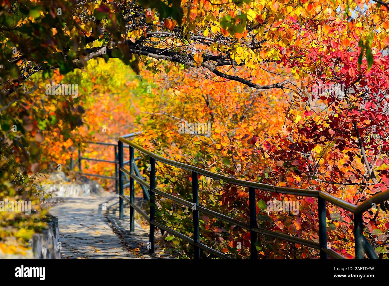 Xiangshan park hi-res stock photography and images - Alamy
