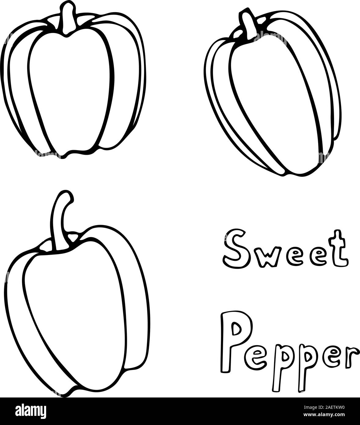 Set of vector hand drawn outline bell peppers. Black contour doodle