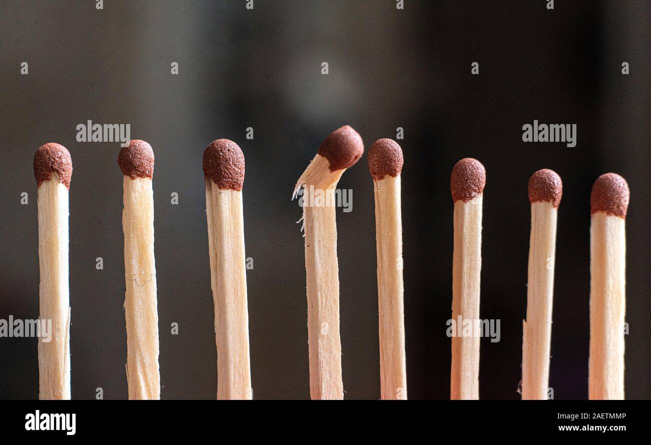 single unique wooden match among the other regular ones, the teamwork idea Stock Photo