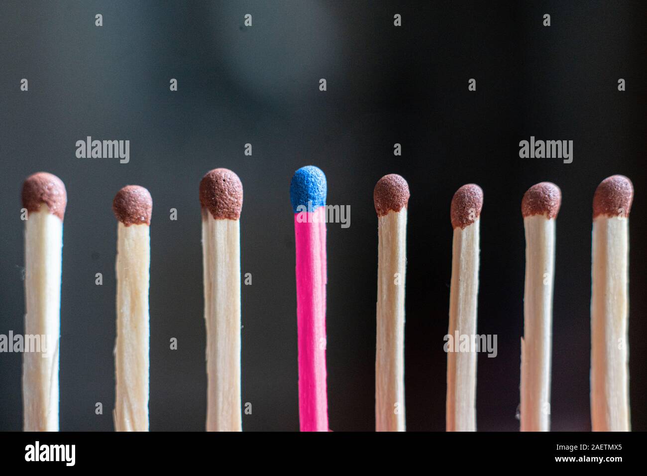 single unique wooden match among the other regular ones, the teamwork idea Stock Photo