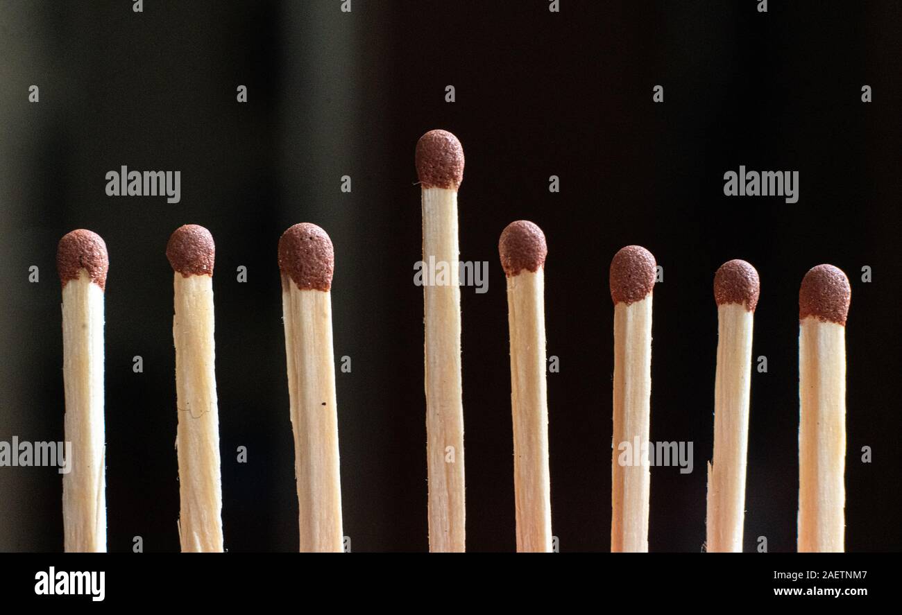 single unique wooden match among the other regular ones, the teamwork idea Stock Photo