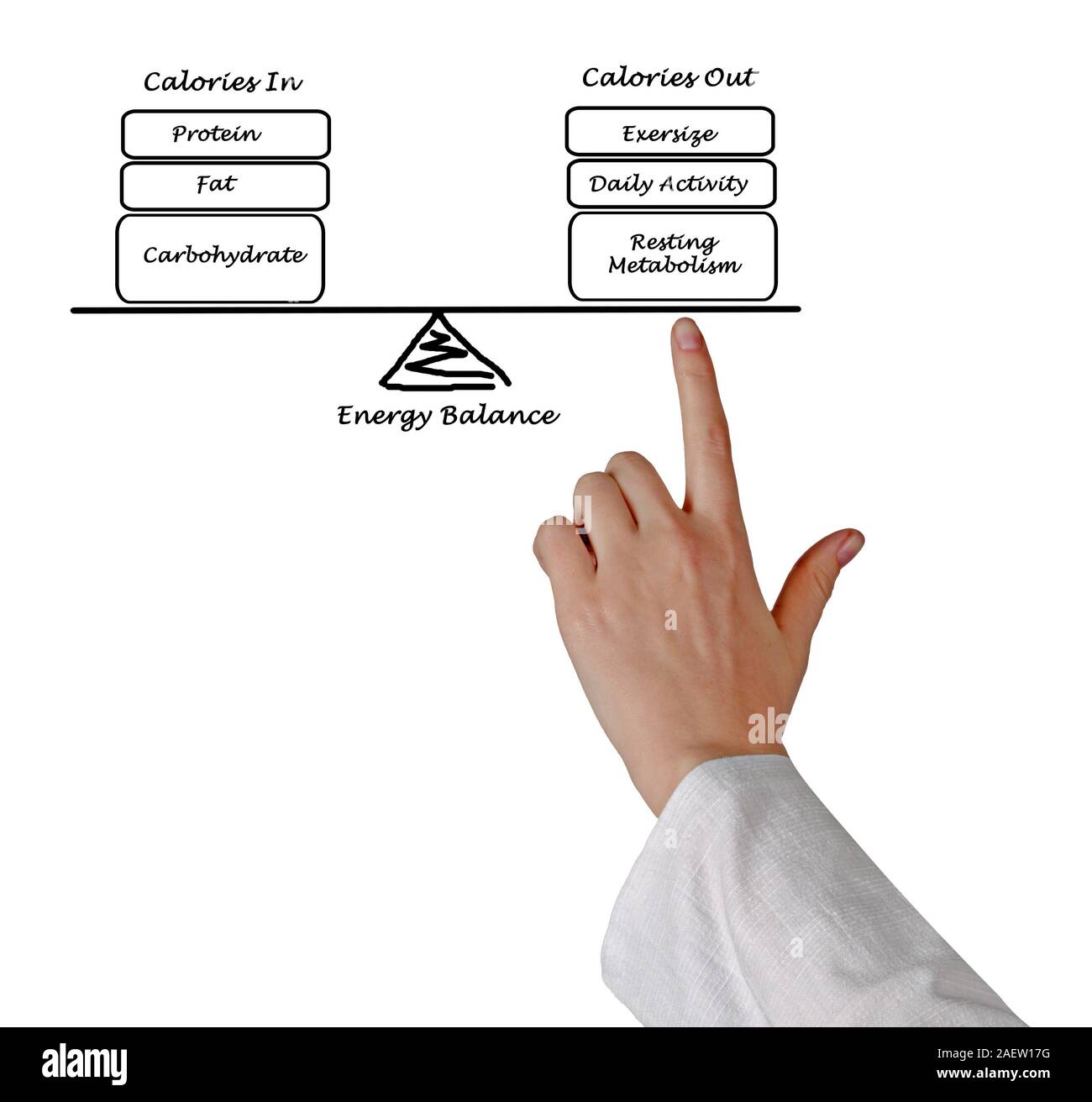 Balance between Energy intake and Energy expenditure Stock Photo Alamy