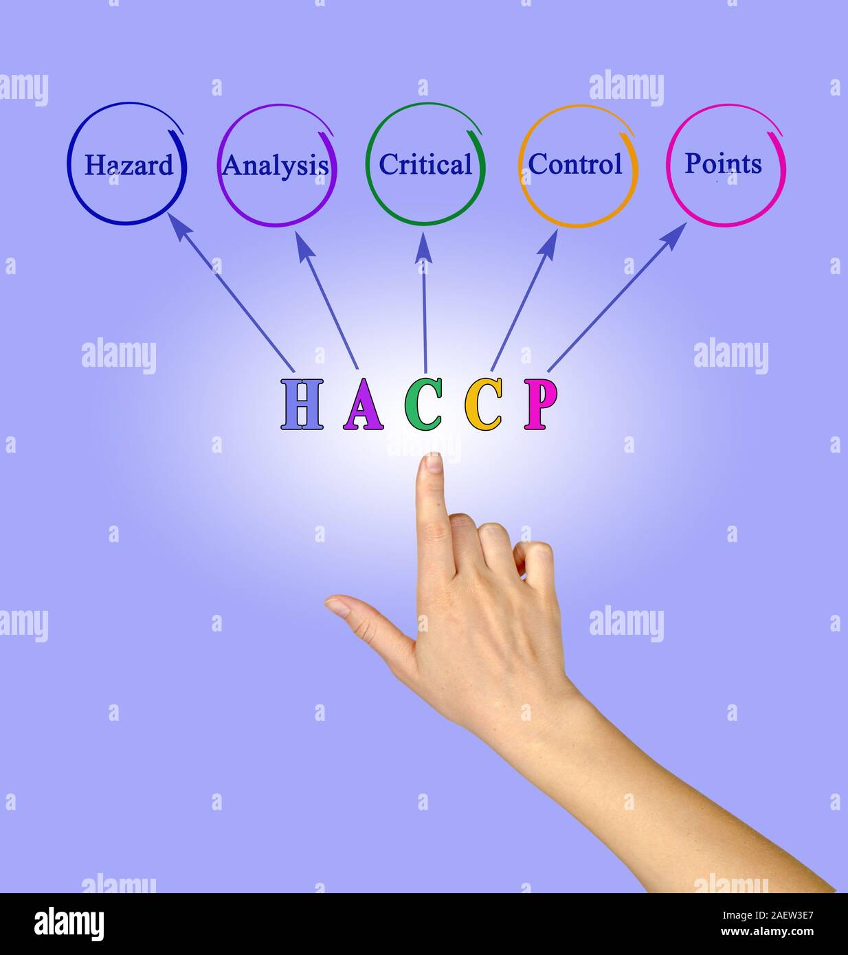 Diagram of HACCP Regulatory Requirements Stock Photo Alamy