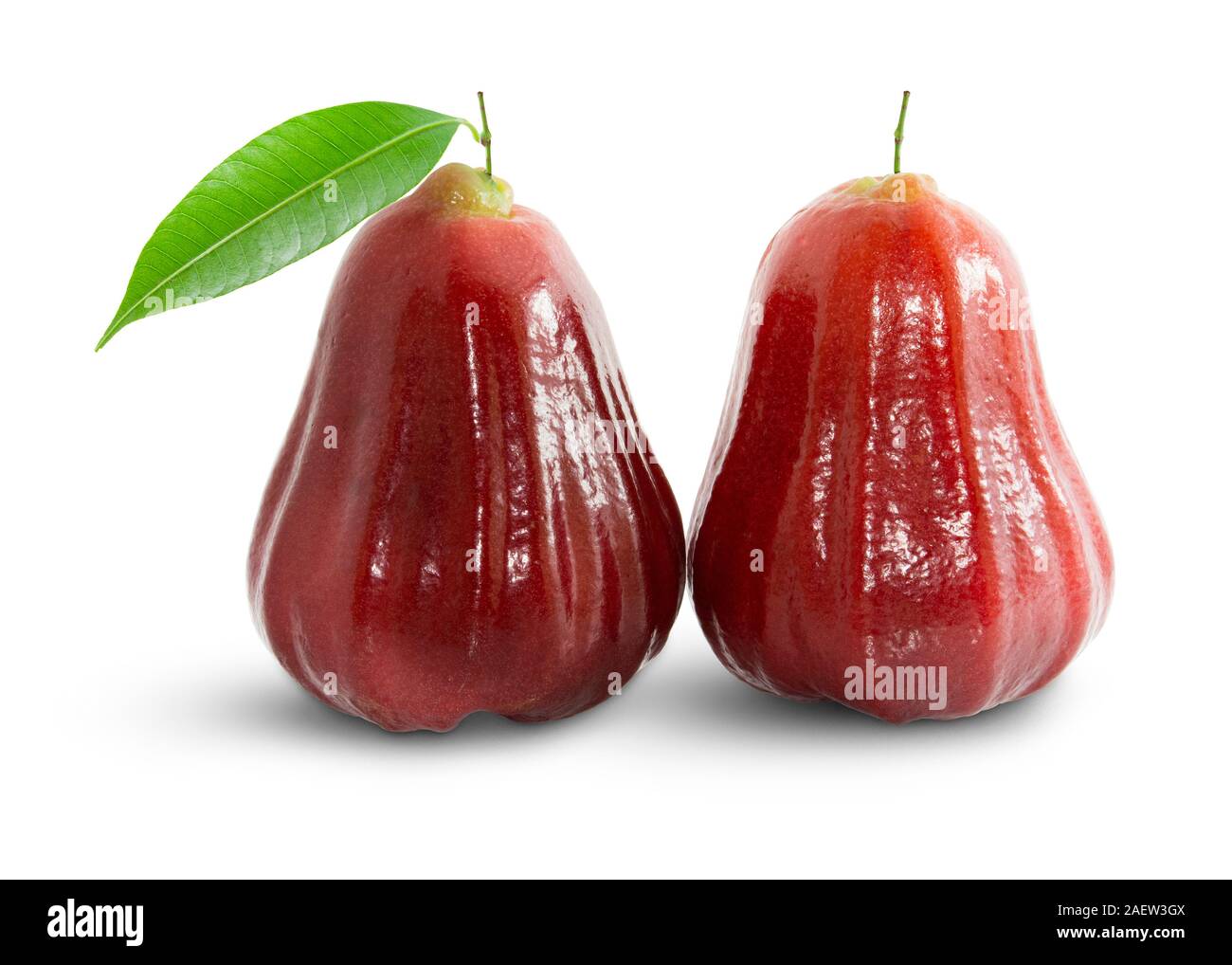 Rose apples or chomphu isolated on white with clipping path Stock Photo ...