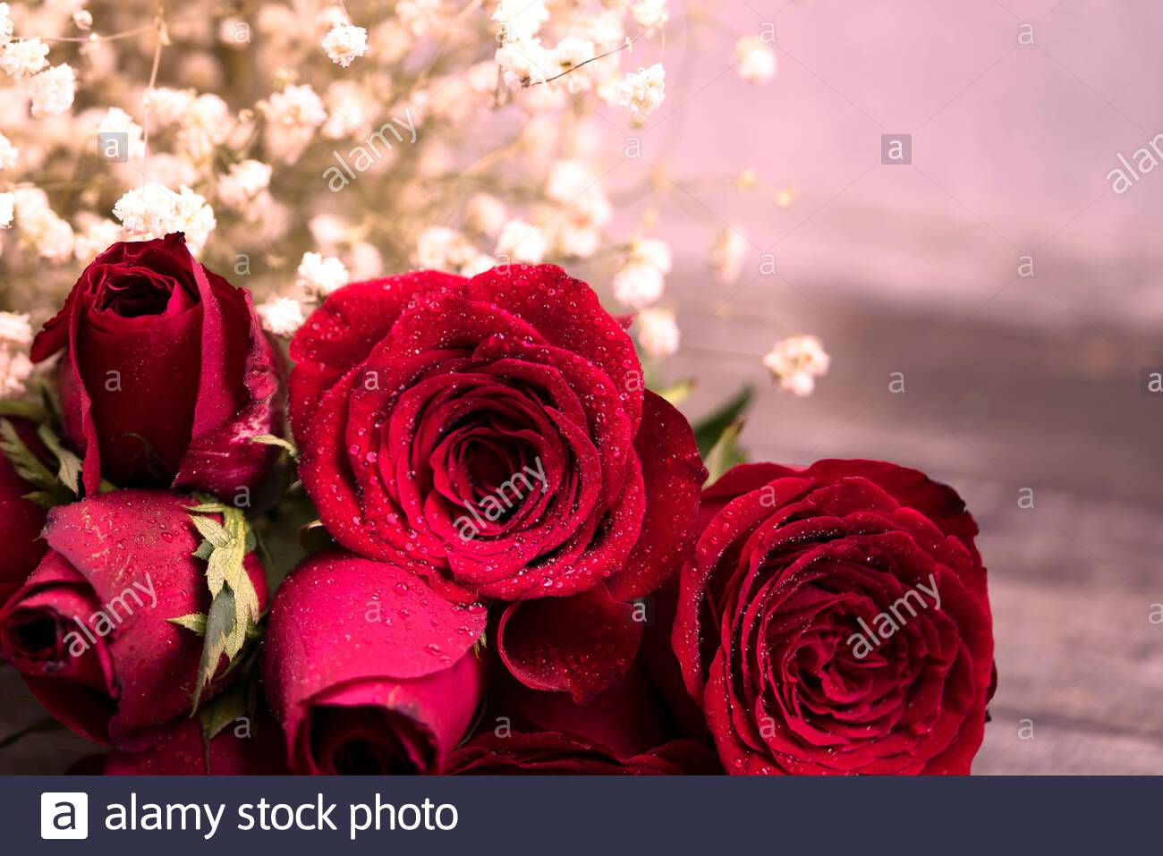 Macro Red Rose And White Bokeh For Background And Greeting Cards