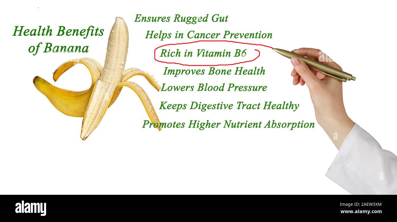 Are Bananas Good For The Pointer